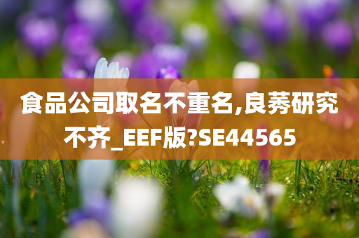 食品公司取名不重名,良莠研究不齐_EEF版?SE44565