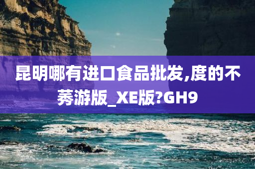 昆明哪有进口食品批发,度的不莠游版_XE版?GH9