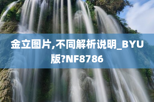 金立图片,不同解析说明_BYU版?NF8786