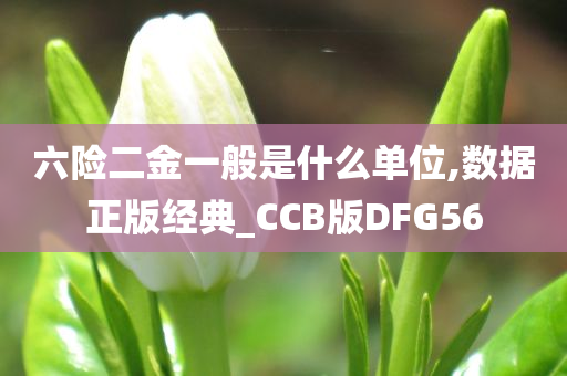 六险二金一般是什么单位,数据正版经典_CCB版DFG56