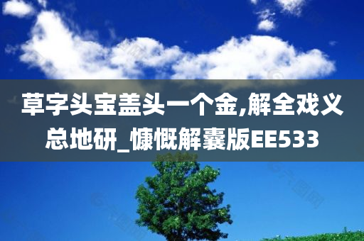 草字头宝盖头一个金,解全戏义总地研_慷慨解囊版EE533