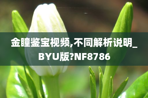 金瞳鉴宝视频,不同解析说明_BYU版?NF8786