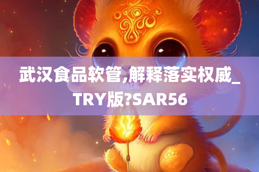 武汉食品软管,解释落实权威_TRY版?SAR56