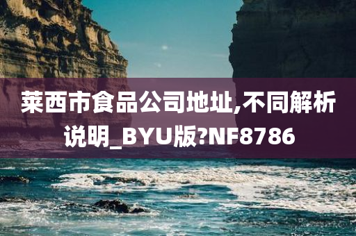 莱西市食品公司地址,不同解析说明_BYU版?NF8786