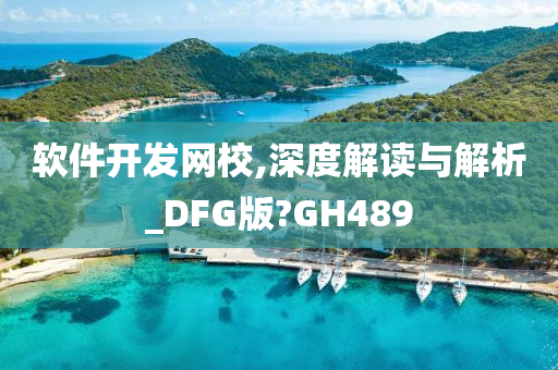 软件开发网校,深度解读与解析_DFG版?GH489