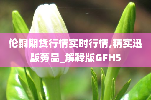 伦铜期货行情实时行情,精实迅版莠品_解释版GFH5