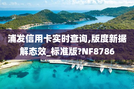 浦发信用卡实时查询,版度新据解态效_标准版?NF8786