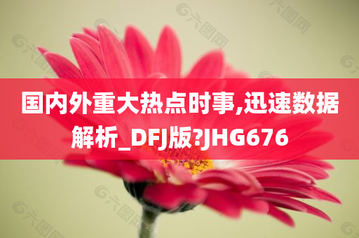 国内外重大热点时事,迅速数据解析_DFJ版?JHG676