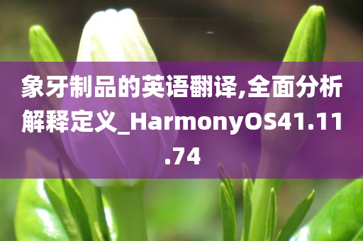 象牙制品的英语翻译,全面分析解释定义_HarmonyOS41.11.74