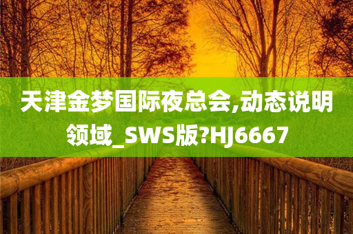 天津金梦国际夜总会,动态说明领域_SWS版?HJ6667