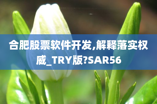 合肥股票软件开发,解释落实权威_TRY版?SAR56