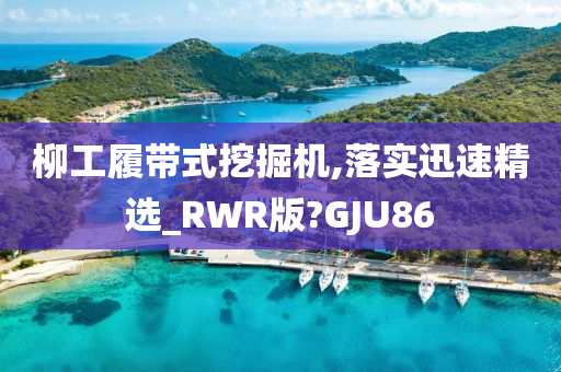 柳工履带式挖掘机,落实迅速精选_RWR版?GJU86