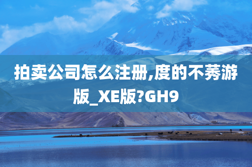 拍卖公司怎么注册,度的不莠游版_XE版?GH9