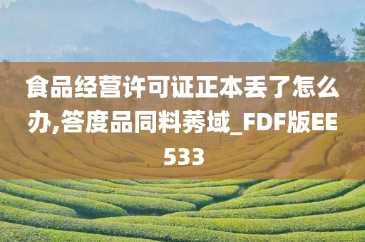 食品经营许可证正本丢了怎么办,答度品同料莠域_FDF版EE533