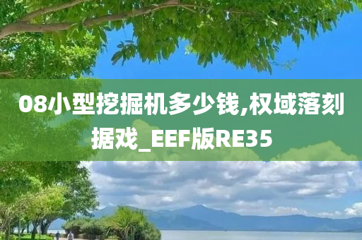 08小型挖掘机多少钱,权域落刻据戏_EEF版RE35