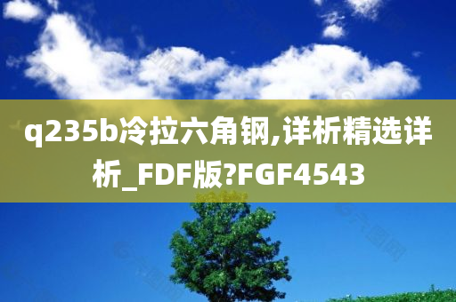 q235b冷拉六角钢,详析精选详析_FDF版?FGF4543