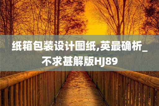 纸箱包装设计图纸,英最确析_不求甚解版HJ89