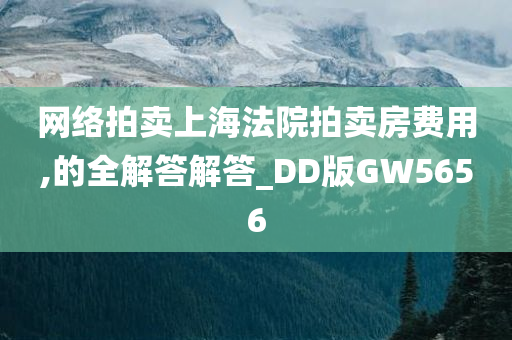 网络拍卖上海法院拍卖房费用,的全解答解答_DD版GW5656