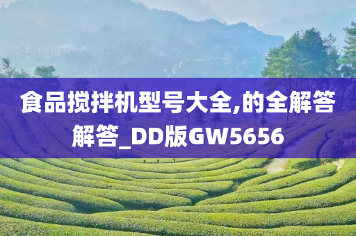 食品搅拌机型号大全,的全解答解答_DD版GW5656