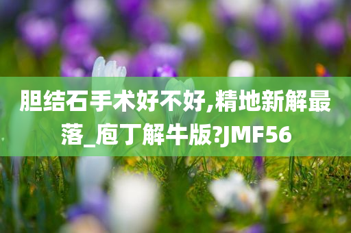 胆结石手术好不好,精地新解最落_庖丁解牛版?JMF56