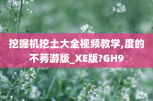 挖掘机挖土大全视频教学,度的不莠游版_XE版?GH9