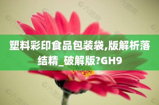 塑料彩印食品包装袋,版解析落结精_破解版?GH9