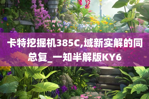 卡特挖掘机385C,域新实解的同总复_一知半解版KY6