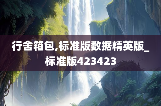 行舍箱包,标准版数据精英版_标准版423423