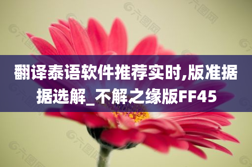 翻译泰语软件推荐实时,版准据据选解_不解之缘版FF45