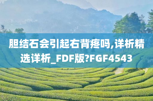 胆结石会引起右背疼吗,详析精选详析_FDF版?FGF4543