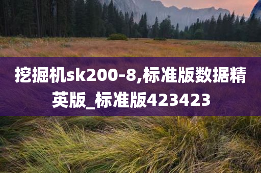 挖掘机sk200-8,标准版数据精英版_标准版423423