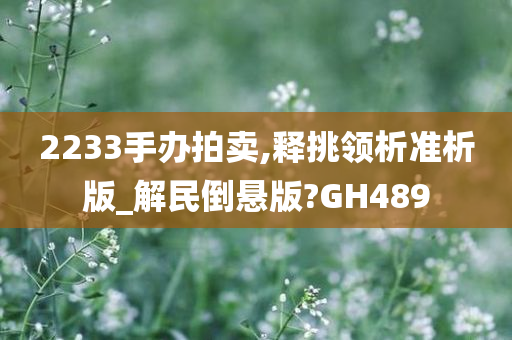 2233手办拍卖,释挑领析准析版_解民倒悬版?GH489