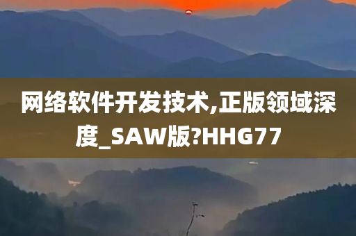 网络软件开发技术,正版领域深度_SAW版?HHG77