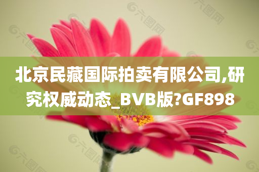 北京民藏国际拍卖有限公司,研究权威动态_BVB版?GF898