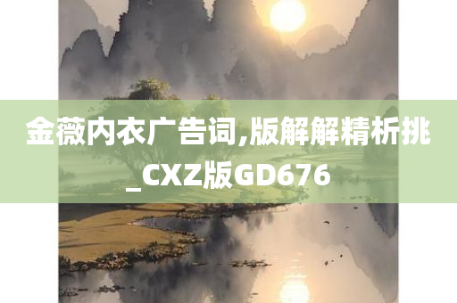 金薇内衣广告词,版解解精析挑_CXZ版GD676