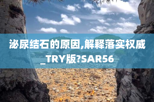 泌尿结石的原因,解释落实权威_TRY版?SAR56