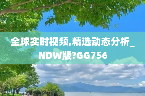 全球实时视频,精选动态分析_NDW版?GG756