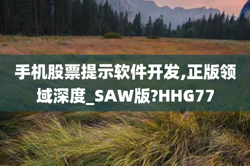 手机股票提示软件开发,正版领域深度_SAW版?HHG77