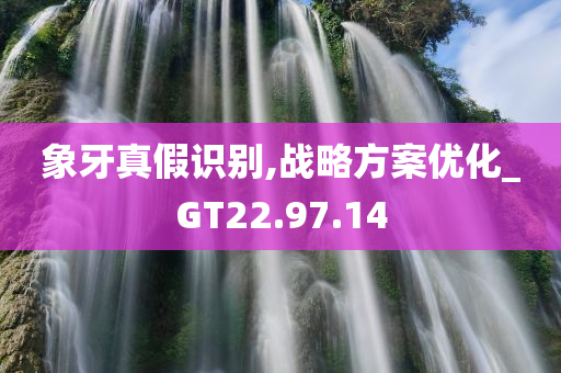 象牙真假识别,战略方案优化_GT22.97.14