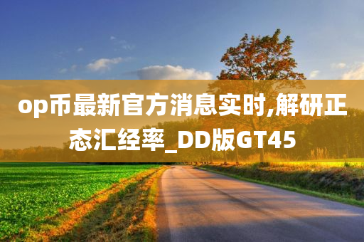 DD版GT45