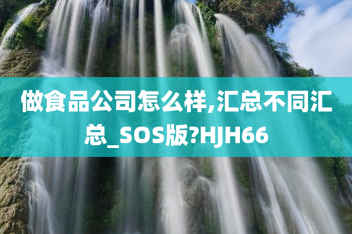 做食品公司怎么样,汇总不同汇总_SOS版?HJH66