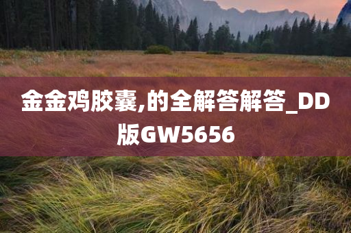 DD版GW5656