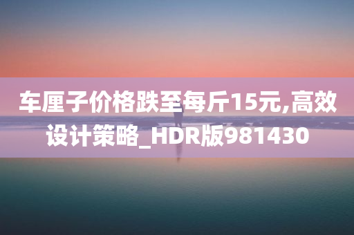 车厘子价格跌至每斤15元,高效设计策略_HDR版981430