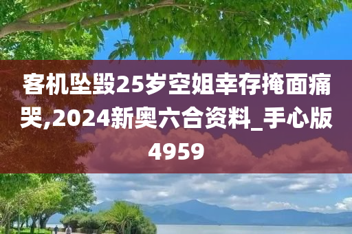 客机坠毁25岁空姐幸存掩面痛哭,2024新奥六合资料_手心版4959