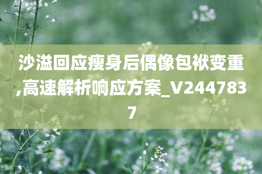 沙溢回应瘦身后偶像包袱变重,高速解析响应方案_V2447837