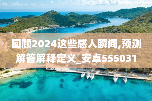 回顾2024这些感人瞬间,预测解答解释定义_安卓555031