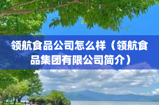 领航食品公司怎么样（领航食品集团有限公司简介）