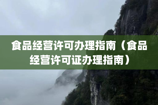 食品经营许可办理指南（食品经营许可证办理指南）