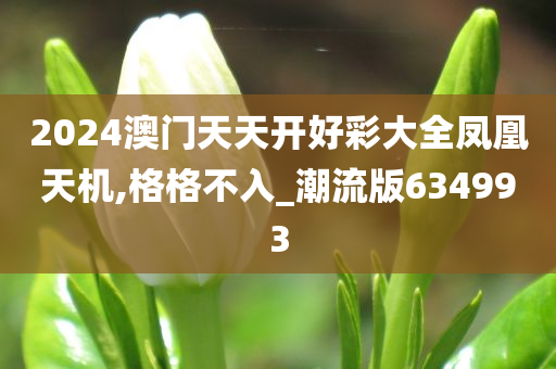 2024澳门天天开好彩大全凤凰天机,格格不入_潮流版634993