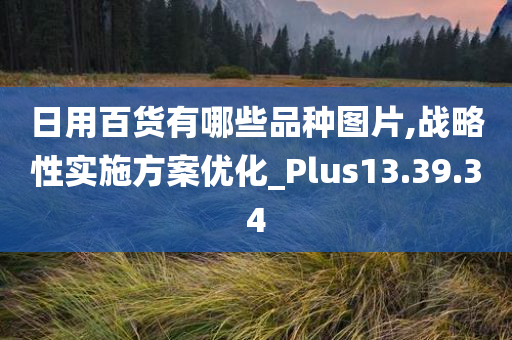 日用百货有哪些品种图片,战略性实施方案优化_Plus13.39.34